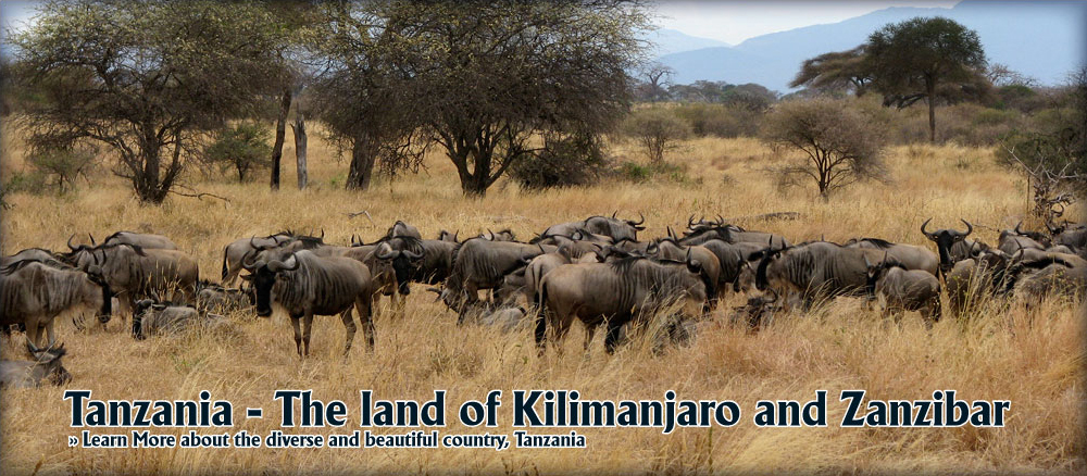 Tanzania - the land of kilimanjaro and zanzibar - facts about tanzania